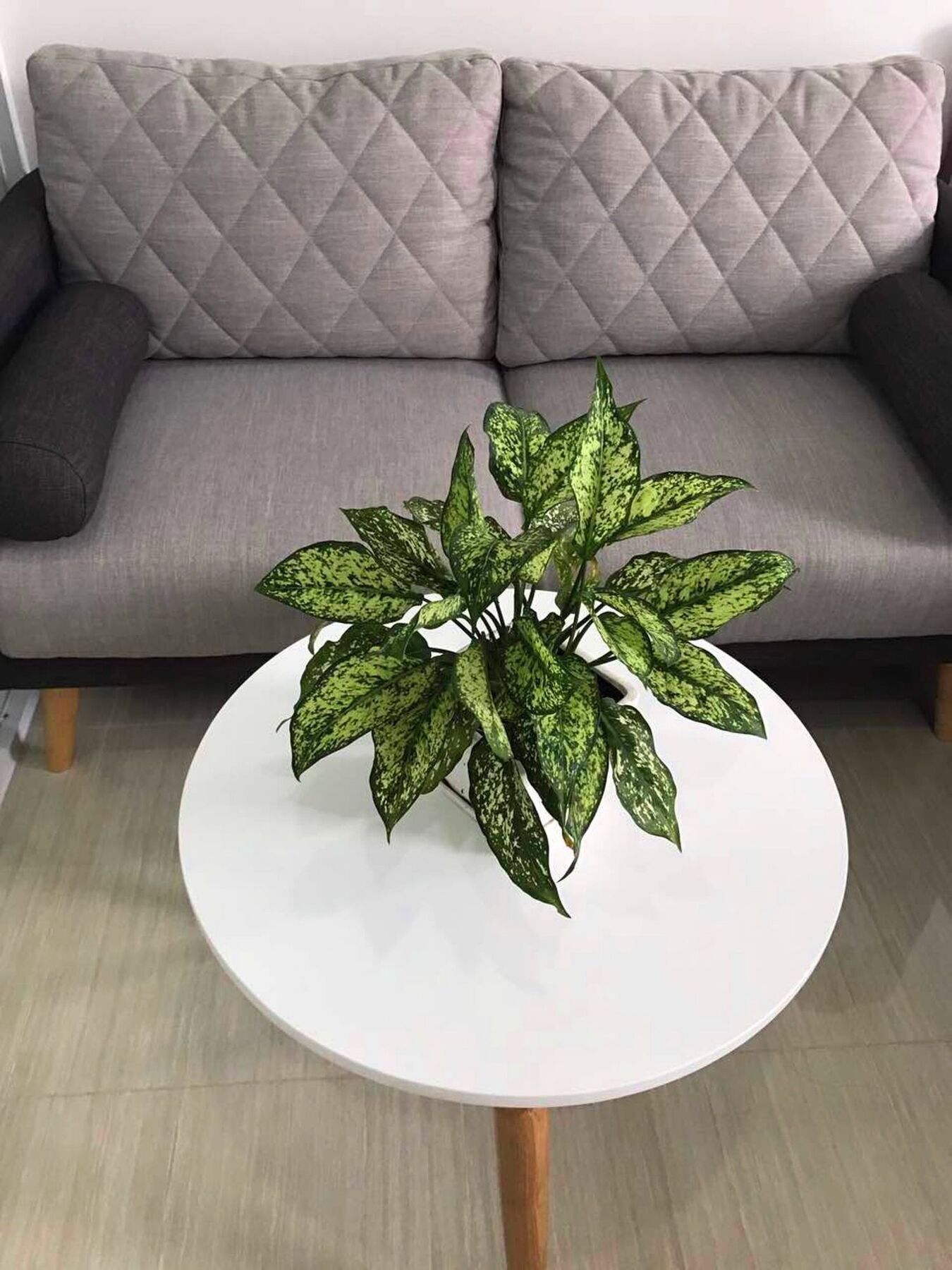 Smile Apartment 10 TP. Hồ Chí Minh Ngoại thất bức ảnh
